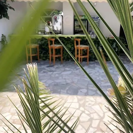 Apartament холи *